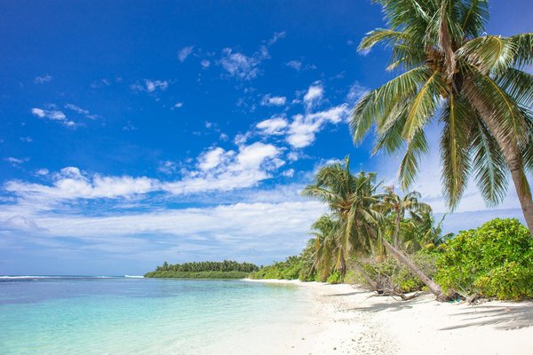 Quelles stratégies les villes adoptent-elles pour attirer les touristes en 2024 ?