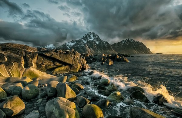 Découvrez nos conseils essentiels pour un camping parfait avec vos fidèles compagnons à quatre pattes